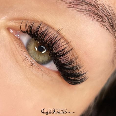 Single Lash Extensions, Tut Makeup, Aesthetic Makeup Looks, Feather Eyelashes, Feathered Brows, Natural Fake Eyelashes, Best Lash Extensions, Lashes Fake Eyelashes, Perfect Eyelashes