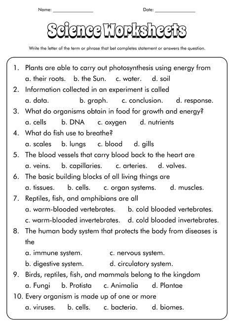 Year 7 Science Worksheets, Science Worksheet For Grade 5, Grade 8 Science Worksheets, Science 6th Grade Worksheets, Science Worksheets Grade 6, 7th Grade Summer Worksheets, 6 Grade English Worksheets, Class 6 Science Worksheet, Year 6 Worksheets Free Printable