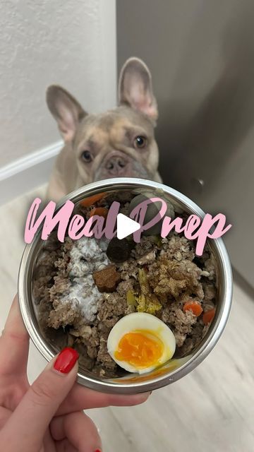 𝘿𝙖𝙧𝙞𝙖 + 𝙕𝙤𝙚 | 𝙁𝙧𝙚𝙣𝙘𝙝𝙞𝙚 & 𝘿𝙤𝙜 𝙈𝙤𝙢 on Instagram: "🥘Why I choose to home cook for my dog:

1. Tailored Nutrition: Control every ingredient to ensure a balanced diet specifically for your dog's needs.
2. Higher-Quality Ingredients: Avoid fillers and preservatives found in some commercial foods by using fresh, whole ingredients.
3. Allergy-Friendly Options: Easily eliminate ingredients that may trigger allergies or sensitivities.
4. Improved Digestive Health: Fresh, natural ingredients can be easier for your dog to digest, promoting gut health.

📝Full recipe can be found in our recipe blog linked in bio! 

Note: I’m not a dog nutritionist, please do your own research before introducing any new food to your dog. 

#frenchbulldog #frenchie #dogparent #frenchievids  #darian Frenchie Dog, Animal Food, Dog Foods, Recipe Blog, A Balanced Diet, Dog Recipes, New Food, Homemade Dog, Allergy Friendly