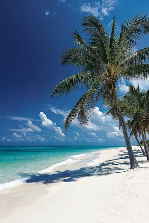 Experience Paradise at Grace Bay Beach in Turks and Caicos 🏝✨ Relax on the pristine shores of Grace Bay Beach, known for its powdery white sands, crystal-clear turquoise waters, and vibrant coral reefs. Perfect for a luxurious and serene beach escape. 🌿🌞 #GraceBayBeach #TurksAndCaicos #BeachParadise #TravelInspiration Dream Holiday Destinations, Grace Bay Beach, I Need Vitamin Sea, Boutique Names, Beautiful Beach Pictures, Grace Bay, Ocean Tropical, Holiday Vibes, Vitamin Sea