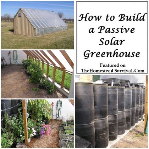 The Homestead Survival | How to Build a Passive Solar Greenhouse | http://thehomesteadsurvival.com - Gardening Passive Solar Greenhouse, Solar Greenhouse, Greenhouse Shed, Survival Gardening, Greenhouse Kit, Greenhouse Plans, Passive Solar, Aquaponics System, Diy Greenhouse