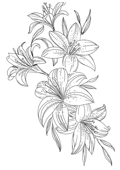 Lily Leaves Drawing, Lily Leaves Tattoo, Tigerlily Flower Tattoo, Lily And Peony Tattoo, Hibiscus Sleeve Tattoo, Lower Sleeve Tattoos For Women, Tiger Lily Tattoo Design, Lily Tattoo Stencil, Leg Tattoo Stencil