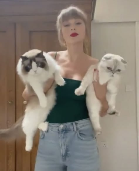 Taylor Swift Cats, Taylor Swift Cat, Taylor Swift New, Queen Of My Heart, Taylor Swift Cute, Olivia Benson, Meredith Grey, Red Taylor, Miss Americana