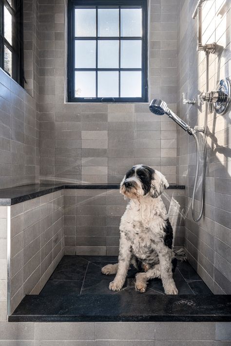 25 Walk-In Shower Ideas to Design Your Oasis | Kallista Dog Shower Bathroom, Dog And Human Shower Ideas, Dog Wash Shower Combo, Walk In Shower With Dog Wash, Dog Bath Shower Combo, Pet Shower Ideas, Shower Dog Wash Combo, Human Dog Shower Combo, Dog Shower Utility Room