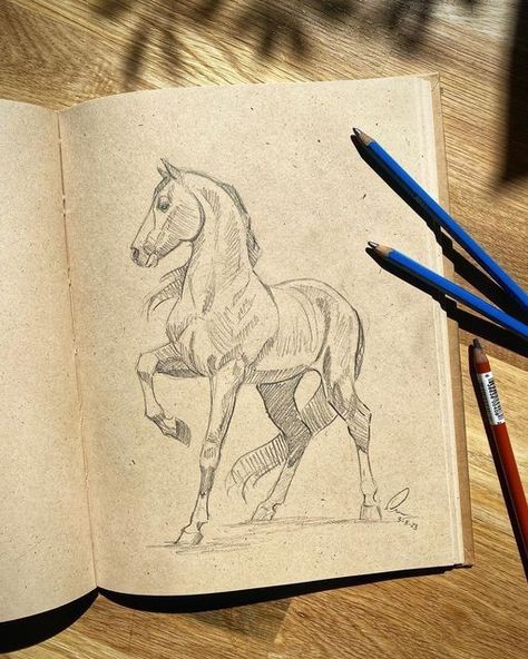 Horse Art Drawing, Horse Sketch, Drawing Faces, Horse Drawings, Horse Drawing, Art Drawings Sketches Creative, Book Art Drawings, Art Tutorials Drawing, Cool Art Drawings