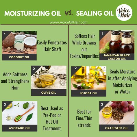 Moisturizing Oils For Natural Hair, Sealing Oils For Natural Hair, Sealant Oils For Natural Hair, Oils For Hair Moisturizer, Sealing Hair Oils, High Porosity Hair Oils, Best Oils For High Porosity Hair, Oils For Low Porosity Hair Natural, Moisturizing Hair Products