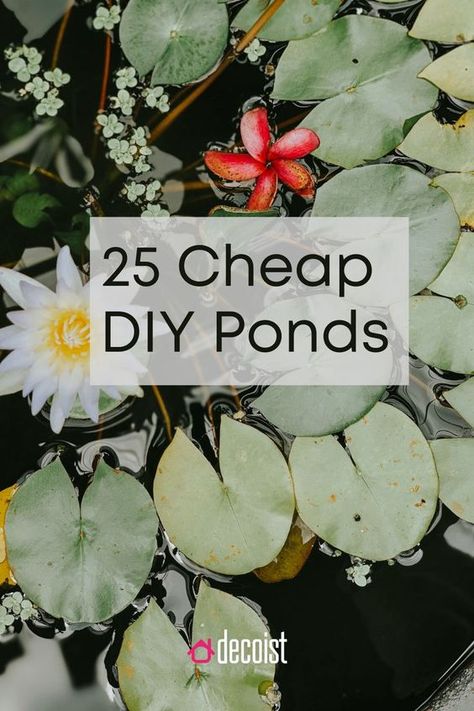 Diy Pond Ideas, Small Fish Pond, Fish Ponds Backyard, Small Backyard Ponds, Diy Ponds Backyard, Raised Pond, Ponds For Small Gardens, Home Projects Diy, Fish Pond Gardens