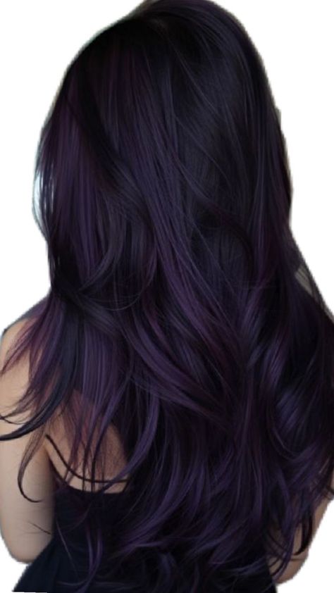 Midnight Violet Hair, Peekaboo Purple Hair, Purple Hair And Black, Midnight Purple Hair, Violet Black Hair, Purple Peekaboo Hair, Plum Purple Hair, Two Tone Hair Color, Purple Black Hair