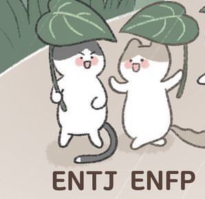 Entj X Enfp, Eileen Core, Zodiac Ships, Entj X Infp, Entj And Enfp, Enfp Couple, Infp Things, Entj Enfp, Enfp X Intj