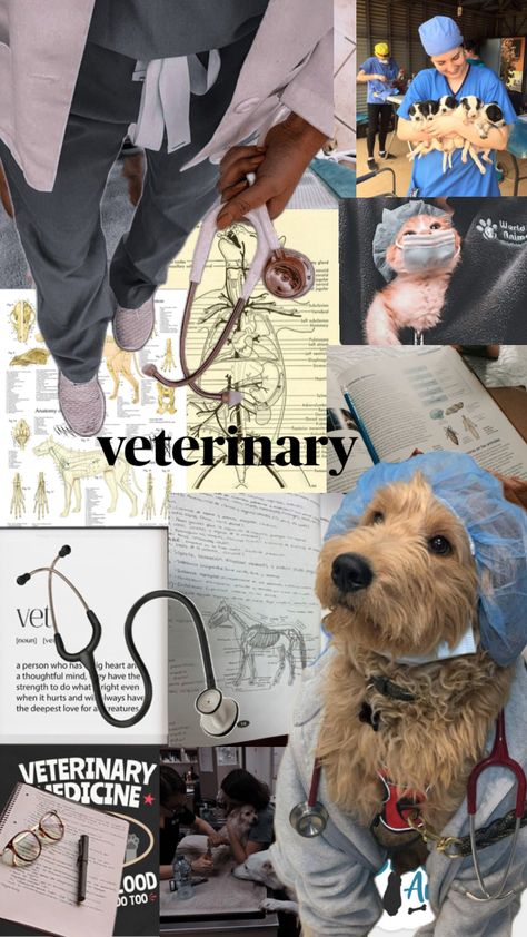 Vet Tech Aesthetic Wallpaper, Vet Collage, Vetenarian Aesthetic, Veterinary Wallpaper, Vet Med Aesthetic, Aesthetic Veterinarian, Vet Wallpaper, Vet Tech Aesthetic, Vet Student Aesthetic