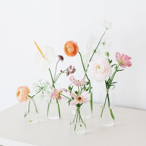 Modern minimalist bud vase arrangements Bud Vases Arrangements, Bud Vases Wedding, Bud Vase Centerpiece, Vases With Flowers, Bud Vases Flowers, Modern Flower Arrangements, Minimalist Flowers, Wedding Vases, Vase Arrangements