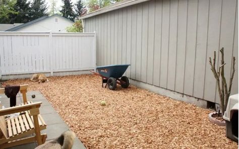 Muddy Dog Yard Solutions – How to Fix a Muddy Backyard Dog Trail (3 Proven Solutions) - Backyard Caring Best Dog Backyard Ideas, Dog Run Gravel, Dig Proof Dog Yard, Muddy Area Solutions, Grassless Backyard Ideas For Dogs, Muddy Dog Yard Solutions, Dog Friendly Small Backyard, Grass Alternative Backyard For Dogs, No Grass Backyard Ideas On A Budget