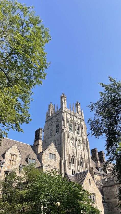 Ivy University, Yale Aesthetic, Yale Acceptance, Ivy League Aesthetic, Yale Law, Aesthetic University, Friends Experience, University Inspiration, Ivy League Universities