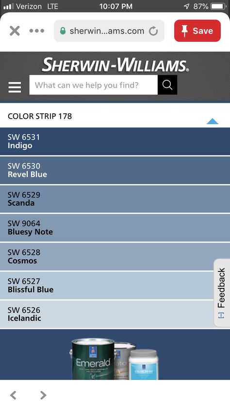 Sherwin Williams Revel Blue, Sherwin Williams Blues, Sherwin Williams Blue, Blue Paint Colors, Colors Of Blue, Clean Bedroom, Colors For Home, Find Color, Paint Colors For Home