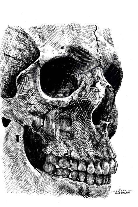 Ink Cross Hatching Art, Cross Hatching Skull, Ink Skull Drawing, Skull Ink Art, Pen Hatching Drawing, Cross Hatching Techniques, Hatching And Cross Hatching Drawings, Skull Crosshatching, Skull Ink Drawing