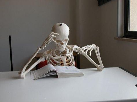 skeleton studying | Skeleton studying | Flickr - Photo Sharing! Law School Humor, Mister V, Legal Humor, Law Quotes, Medical Wallpaper, Studying Law, Funny Skeleton, A Skeleton, Funny Profile