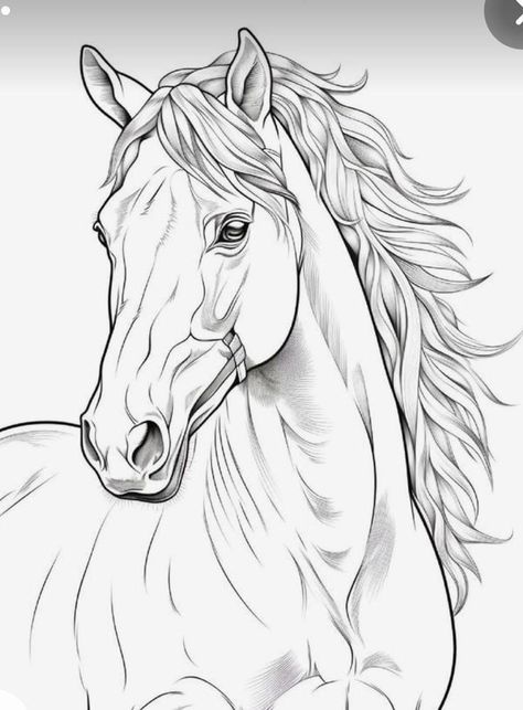 Horse Outline, Horse Coloring Books, Horse Art Drawing, Horse Sketch, Free Horses, Horse Coloring Pages, Horse Tattoo, Horse Drawing, Horse Drawings