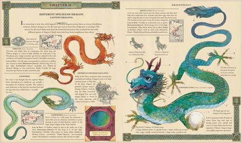 jojoebi designs: A few favourite books.... Linocut Illustration, Mythical Horses, Fantasy Journal, Dragon Anatomy, Beast Monster, Character Moodboard, Eastern Dragon, Story Planning, Dragon Skin