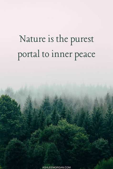 Save Nature Quotes, Natural Healing Quotes, Nature Quotes Beautiful, Nature Captions, Forest Quotes, Nature Quotes Inspirational, Nature Photography Quotes, Earth Quotes, Tree Quotes