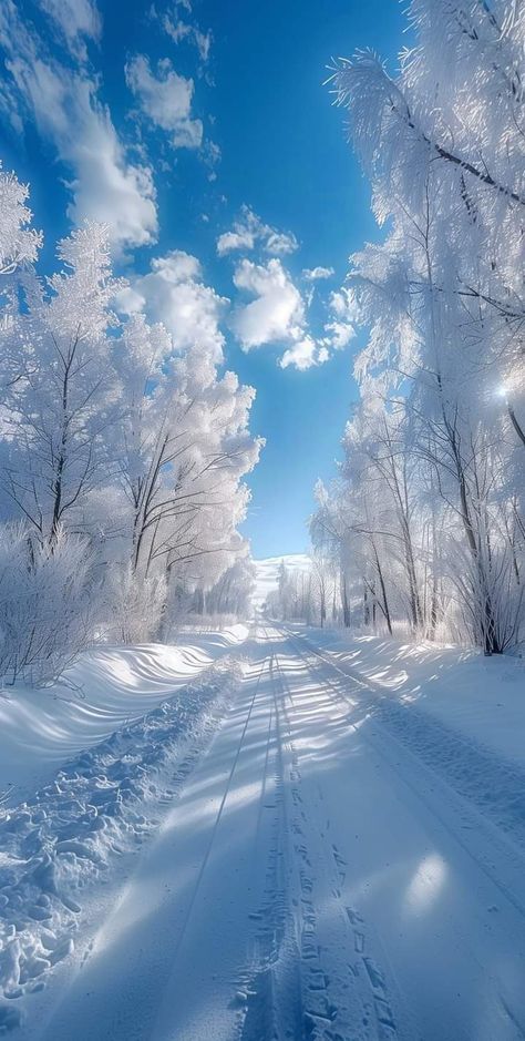 Snowy Season Aesthetic, Winter Scenery Aesthetic, Winter Morning Wallpaper, Snowy Forest Photography, Beautiful Winter Wallpaper, Winter Landscape Photos, Winter Wallpaper Nature, Snowy Winter Wallpaper, Blue Snow Wallpaper