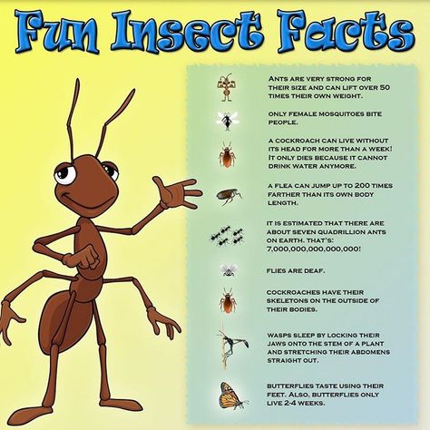 . Kids•Day _________________________ Some fun facts to share with the kids today at dinner 🍽! 🐜 Facts About Insects, Insect Games, Ant Cartoon, Insects For Kids, Bug Facts, Bug Games, Insect Unit, Insects Preschool, Brownie Scouts