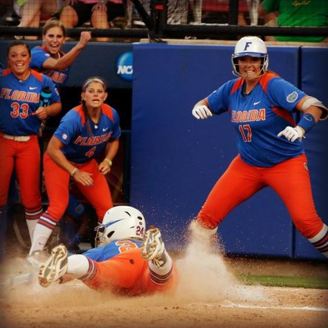 Florida Gators Florida Softball, Gators Softball, Softball Plays, Florida Gators Softball, Softball Photography, Softball Memes, Plans For Summer, Winners Never Quit, Softball Pics