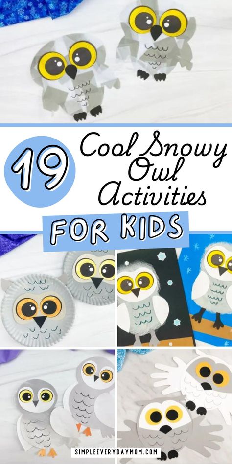 The winter season can be a lot of fun for kids. That’s where these snowy owl activities for kids come in! They’ll keep kids entertained and learning all winter long. From kids crafts to printable worksheets for kids to kids activities, there’s something for everyone here. These ideas are great as preschool activities or kindergarten crafts. Try all our winter animal crafts and winter activities for kids. Snow Owl Craft Preschool, Winter Animals Preschool Crafts, Winter Animal Crafts For Kids, Snow Owl Craft, Owl Crafts Preschool, Winter Animals Preschool, Owl Preschool, Snowy Owl Craft, Contact Paper Crafts