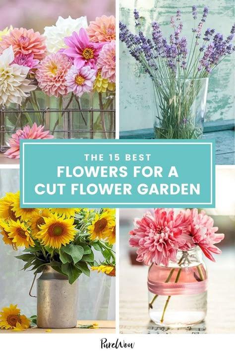 The 15 Best Blooms for a Cut-Flower Garden (So You Can Create Your Own Bouquets at Home) Cut Flower Garden Ideas, Flower Garden Layouts, Growing Cut Flowers, Cut Garden, Flower Garden Plans, Cut Flower Farm, Flower Farming, Flower Garden Ideas, Flower Business