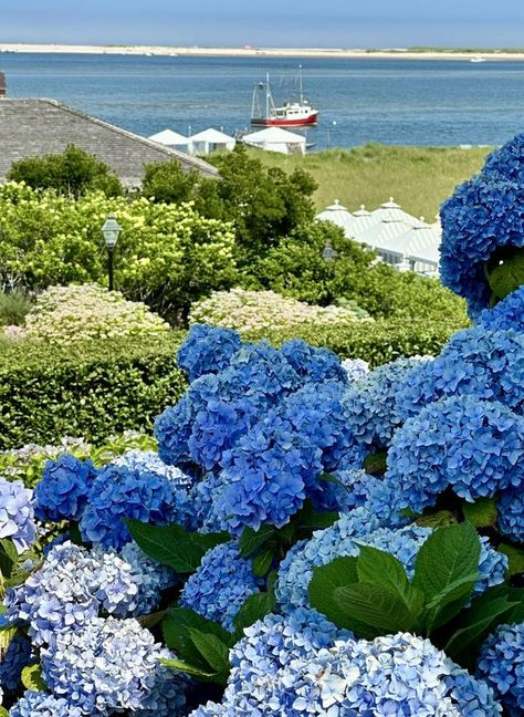 Cape Cod Photography Page | The inlet at North Beach on the Atlantic from Chatham Bars Inn. | Facebook Cape Cod Photography, Chatham Bars Inn, Chatham Cape Cod, New England Road Trip, Dream Beach Houses, Dream Beach, North Beach, Future Life, The Atlantic