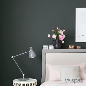 Valspar Nocturnal Green Interior Paint Sample (Actual Net Contents: 8-fl oz) at Lowes.com Green Interior Paint, Moody Room, Chalk Paint Techniques, Pallet Tv Stands, Vermont House, Lp Storage, Basement Office, Tv Storage, Paint Sample