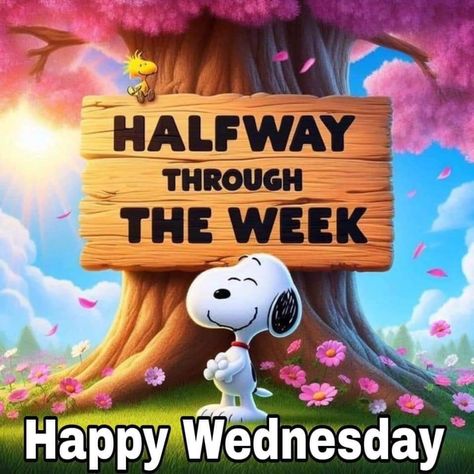 Good Morning Summer, Good Morning Spring, Wednesday Morning Greetings, Wednesday Images, Happy Wednesday Images, Wednesday Morning Quotes, Cute Picture Quotes, Birthday Wishes For Mom, Good Morning Snoopy