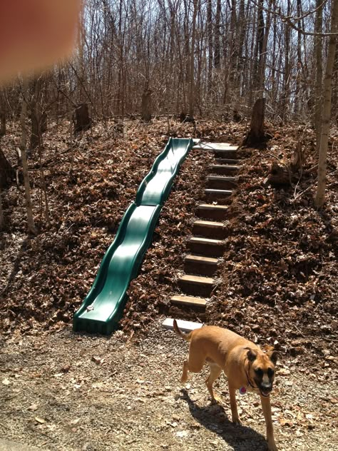 In Ground Slide On Hill, Hillside Slide, Backyard Slide, Backyard Landscaping For Kids, Backyard Garden Diy, Sloped Backyard, Diy Playground, Hillside Landscaping, Kids Outdoor Play