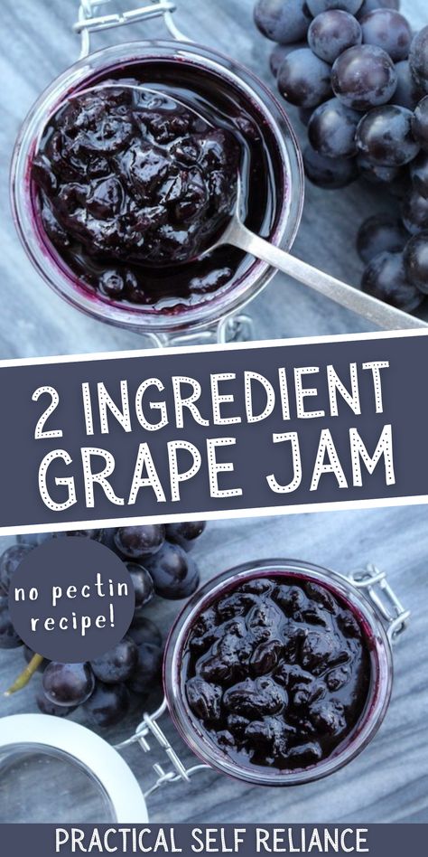 Concord Grape Jam, Grape Jam Recipe, Homemade Grape Jelly, Canning Jam Recipes, Canning Fruit, Grape Jam, Jam Recipes Homemade, Canning Jam, Grape Recipes