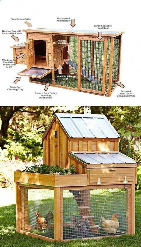 Reban Ayam, Duck Pens, Small Chicken Coops, Chicken Coop Garden, Chicken Barn, Backyard Chicken Coop Plans, Diy Chicken Coop Plans, Backyard Chicken Farming, Coop Design