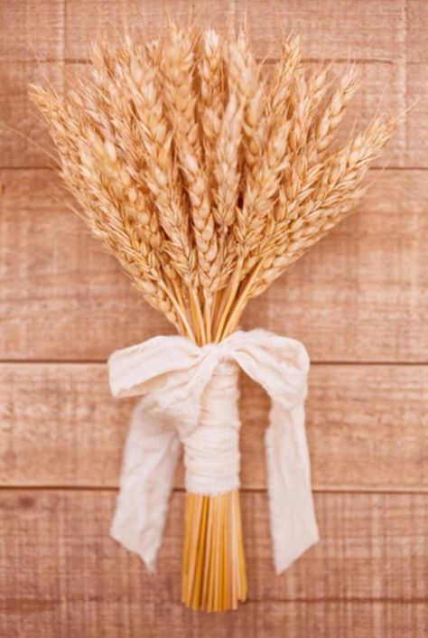 In the 14th Century brides would often carry wheat to symbolize fertility or the flower girls would throw the wheat to also symbolize fertility Country Wedding Bouquets, Wheat Bouquet, Bouquet Alternatives, Wheat Wedding, Pew Markers, Ancient Ireland, Wheat Sheaf, Deco Champetre, Bridesmaids Bouquets