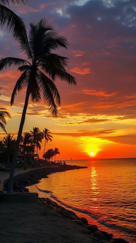 Beach Wallpaper Sunset, Romantic Sunset Beach, Orange Sunsets, Sunset And Palm Trees, Real Sunset, Cloud Sunset, Tree Scenery, Sunset Horizon, Pretty Sunsets