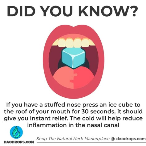 www.DaoDrops.com on Instagram: “DID YOU KNOW? Pressing an ice cube 🧊 against the roof of your mouth can provide relied of a stuffed nose. Blocked noses are caused largely…” Stuff Nose Remedies, Stuffed Nose, Blocked Sinuses, Best Cough Remedy, Blocked Nose, Food Plates, Sick Remedies, Stuffy Nose, Natural Cough Remedies