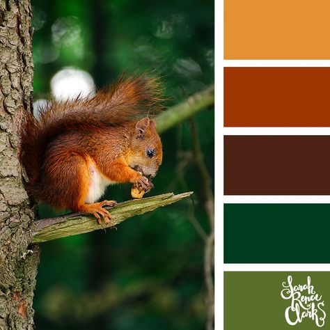 Green Autumn Color Palette, Wildlife Colour Palette, Woodland Color Palette, Pantone Autumn, Beautiful Color Palettes, Summer Color Trends, Pantone Fall, Autumn Color Palette, Fall Palette