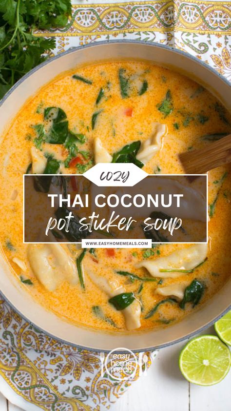 Coconut Wonton Soup, Creamy Coconut Noodle Soup, Spicy Dumpling Soup Crockpot, Thai Coconut Curry Dumpling Soup, Thai Potsticker Soup, Potsticker Coconut Soup, Coconut Curry Wonton Soup, Thai Coconut Potsticker Soup, Thai Meal Ideas