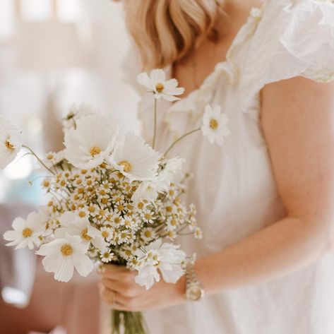 Making the final tweaks to my bridesmaid bouquets 🤍 Feverfew daisies & Cosmos on-mass, a forever favourite 🫶🏼 I so loved these moments, pottering about and tweaking the bouquets in my @ifonlyifnightwear nightie, and thankfully not photographed, white bridal crocs courtesy of my bridesmaids ✨😂 @thecurries.co Bridal Crocs, Daisy Bridesmaid Bouquet, Baby Daisy, Daisy Bouquet, Bridesmaid Bouquets, Small Bouquet, June 19, White Bridal, Bridesmaid Bouquet