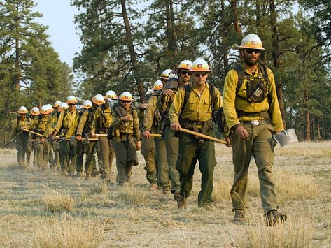 Wildfire Firefighter, Wildlife Firefighter, Forest Firefighter, Us Forest Service, Forest Ranger, Disaster Response, Wildland Fire, 1st Responders, Fire Wife