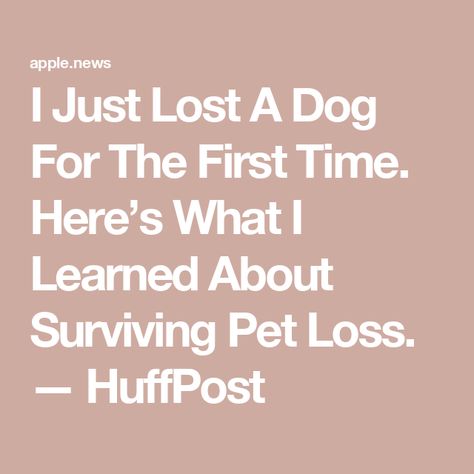 I Just Lost A Dog For The First Time. Here’s What I Learned About Surviving Pet Loss. — HuffPost Their Loss, Dog Loss, Loss Of Dog, Poodle Mix, Losing A Dog, Beloved Dog, Losing A Pet, Pet Loss, Black Dog