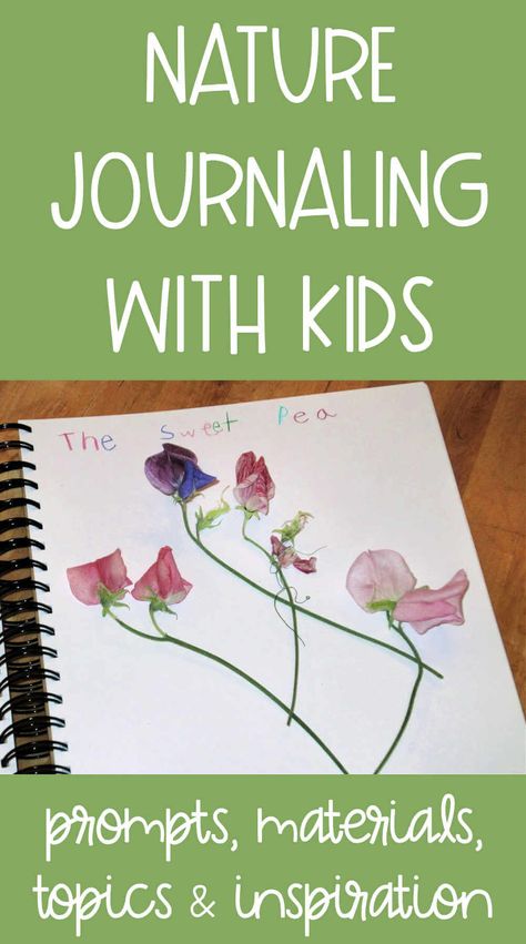 Nature Journal Prompts, Nature Journal Ideas, Elementary Language Arts Activities, Nature Lessons, Nature Club, Homeschool Nature Study, Homeschool Nature, Nature Journals, Field Journal