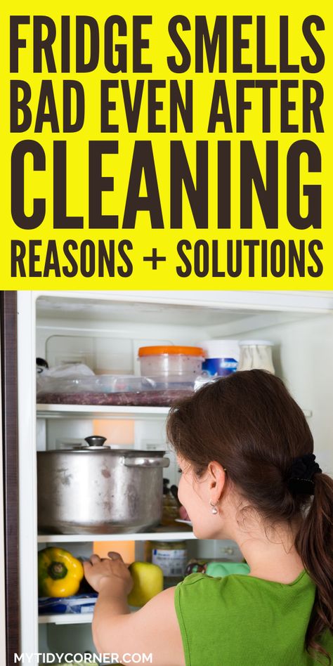 Stinky Fridge Remedies, How To Get Rid Of Smell In Fridge, Fridge Smell Tips, Cleaning Fridge Tips, Clean Refrigerator Hacks, Refrigerator Cleaning Hacks, How To Clean Fridge, Smelly Refrigerator, Fridge Odor Eliminator