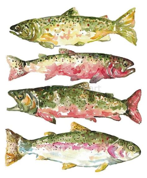 Fish Watercolor Painting, Golden Trout, Kunstjournal Inspiration, Fish Watercolor, Cutthroat Trout, Brook Trout, Atlantic Salmon, Watercolor Fish, Art Watercolor Painting