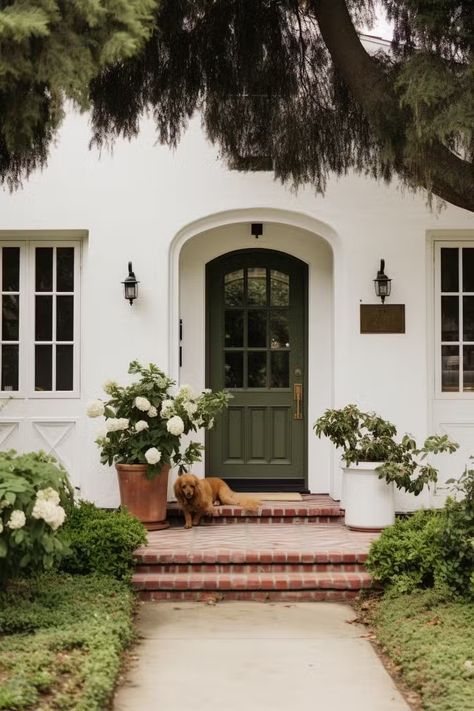 White House Coloured Door, Benjamin Moore Exterior Door Colors, Front Door Color Ideas, Door Color Ideas, Front Door Transformation, Door Transformation, Exterior Updates, Front Door Color, Door Colour