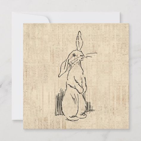 Sparrow House, Script Background, Bunny Rabbit Art, Rabbit Wall Art, Cute Bunny Rabbit, Vintage Script, Rabbit Illustration, Bunny House, Antique Artwork