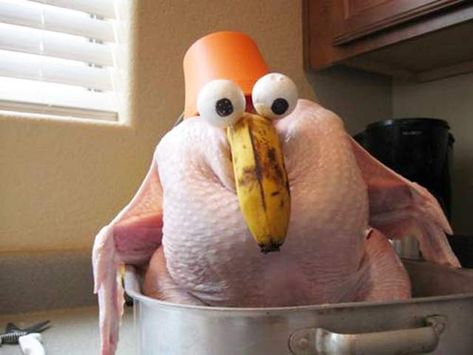 Turkey Food Art Funny Turkey Pictures, Funny Thanksgiving Pictures, Thanksgiving Posters, Thanksgiving Meme, Turkey Pictures, Wild Pictures, Happy Thanksgiving Images, Turkey Images, Thanksgiving Pictures