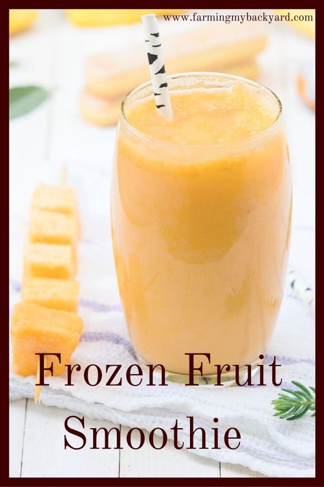 Tropical Fruit Smoothie Recipes, Vegetable Fruit Smoothie Recipes, Baritastic Recipes, Frozen Smoothie Recipes, Frozen Fruit Smoothie Recipes, Strawberry Watermelon Smoothie, Ginger Smoothie Recipes, Frozen Fruit Drinks, Tropical Fruit Smoothie