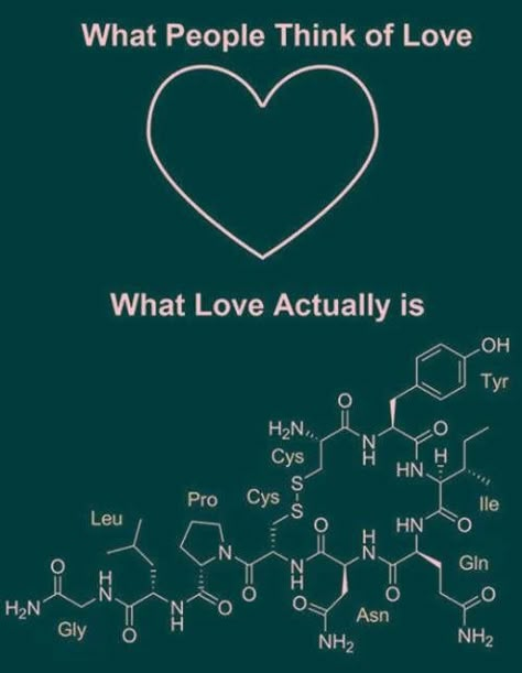 Nerdy Jokes, Science Puns, Nerd Jokes, Chemistry Jokes, I'm Single, Science Quotes, Cool Science Facts, Spring Semester, Science Nerd